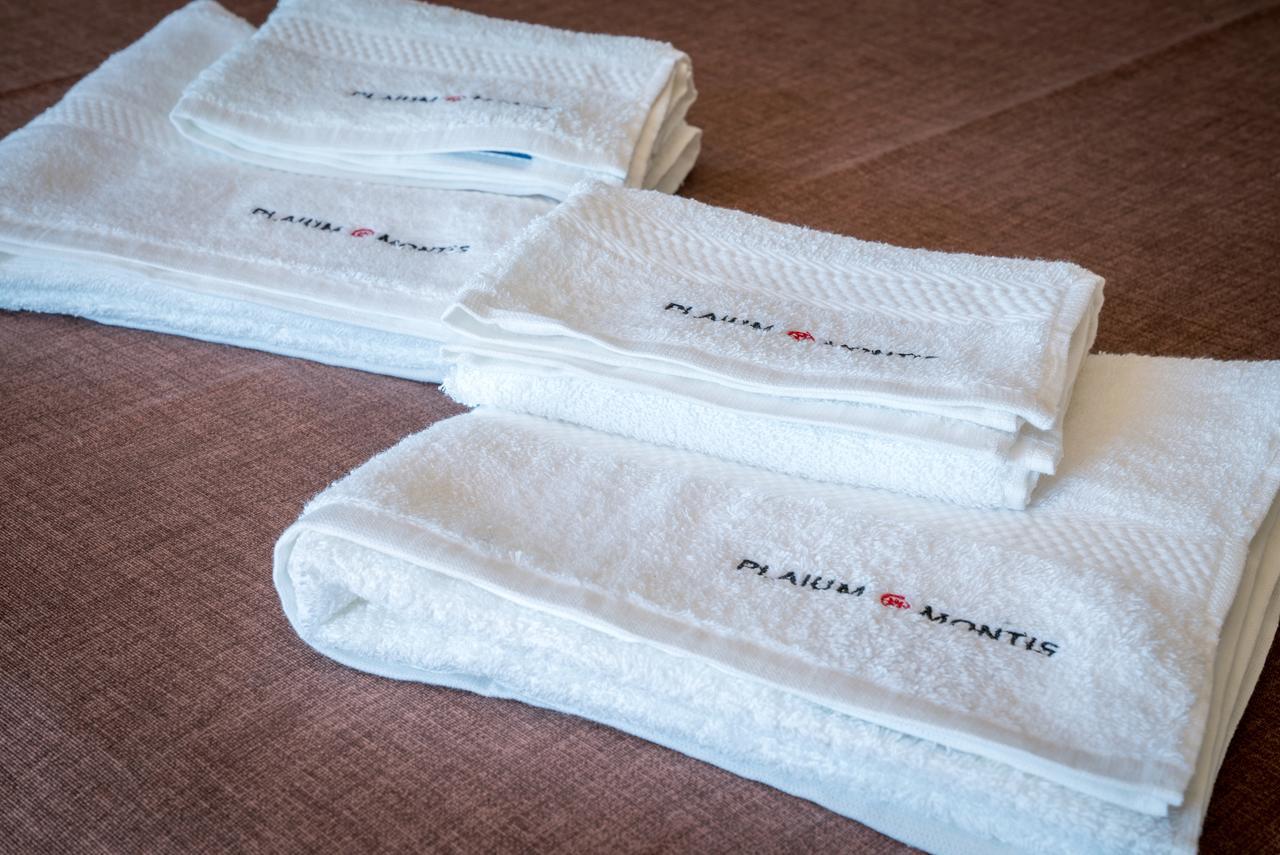 Plaium Montis Bed and Breakfast Σαλέρνο Εξωτερικό φωτογραφία