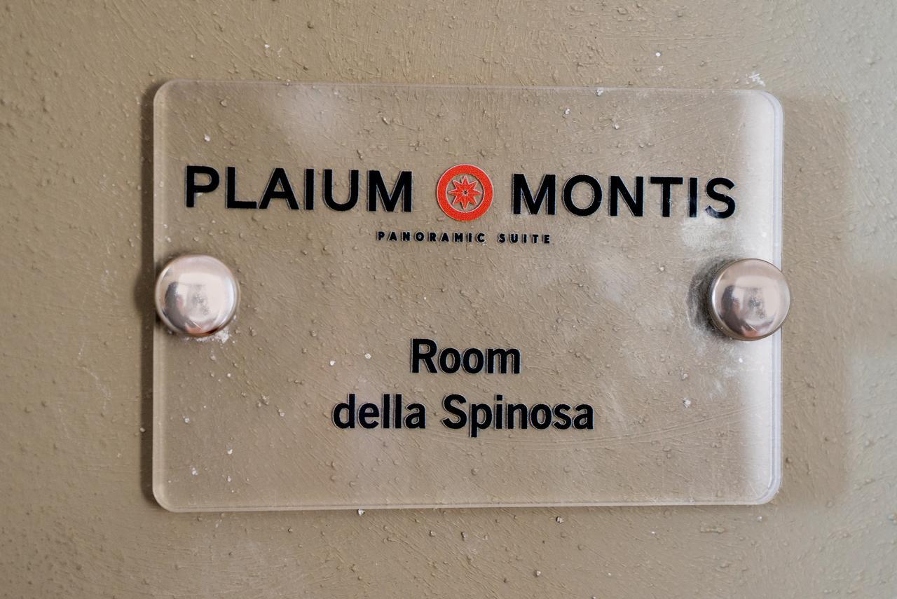 Plaium Montis Bed and Breakfast Σαλέρνο Εξωτερικό φωτογραφία